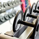 Wulfenia 4s - Adults Only 4* זוננאלפה נאספלד