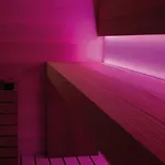 Wulfenia 4s - Adults Only