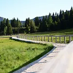 Wulfenia 4s - Adults Only 4*