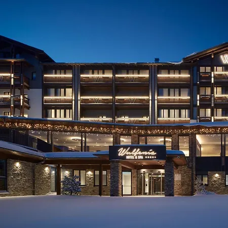 Wulfenia 4s - Adults Only