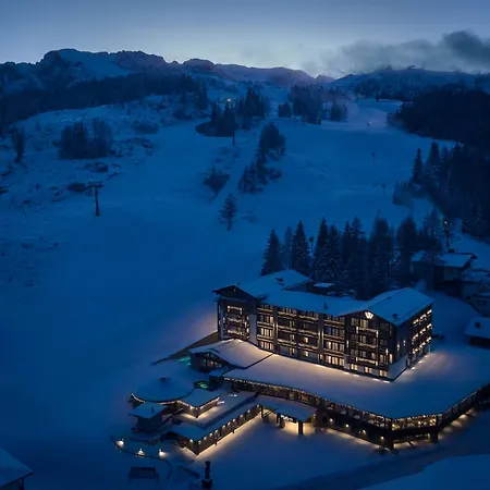 Wulfenia 4s - Adults Only 4*