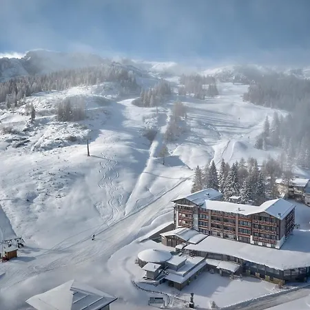 Wulfenia 4s - Adults Only