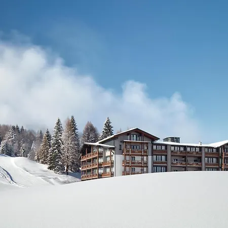 Wulfenia 4s - Adults Only 4*