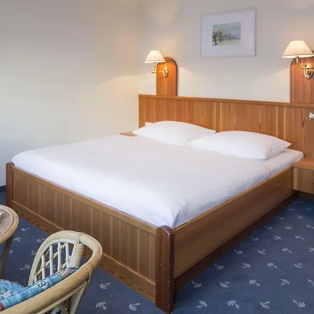 Wulfenia 4s - Adults Only 4*