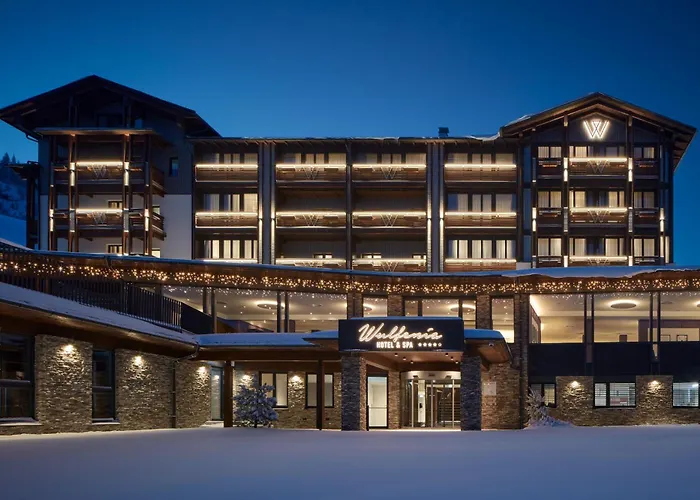 Wulfenia 4s - Adults Only