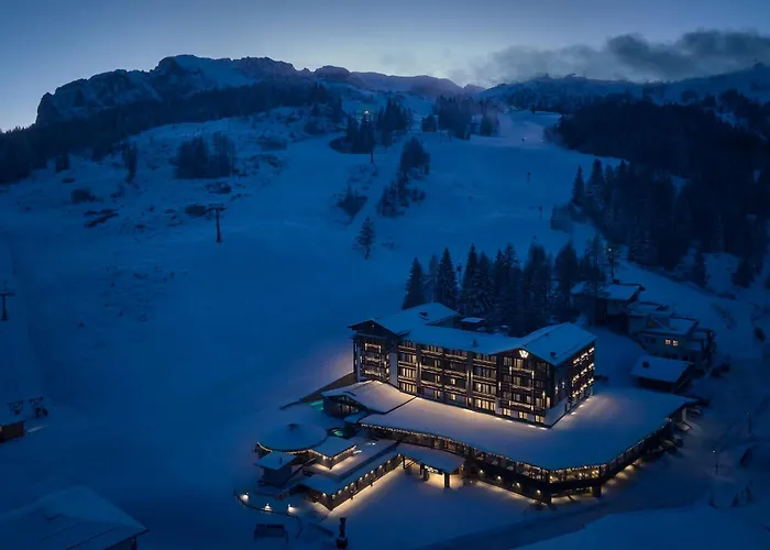 Wulfenia 4s - Adults Only 4*