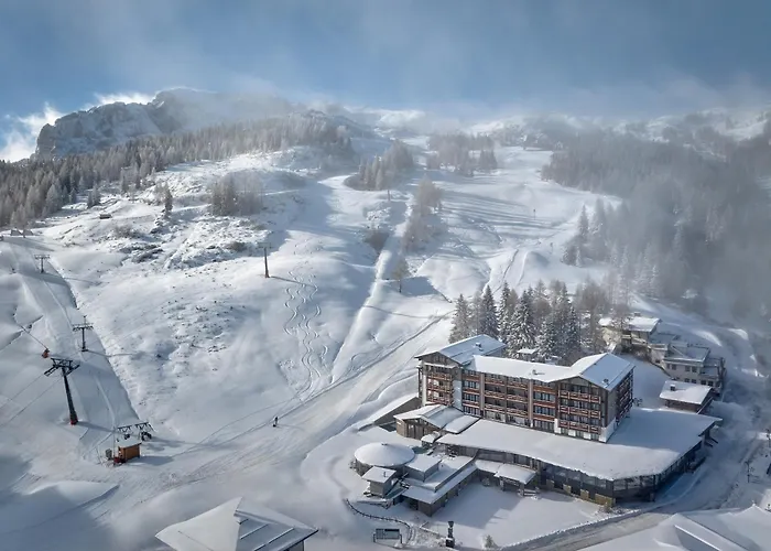 Wulfenia 4s - Adults Only