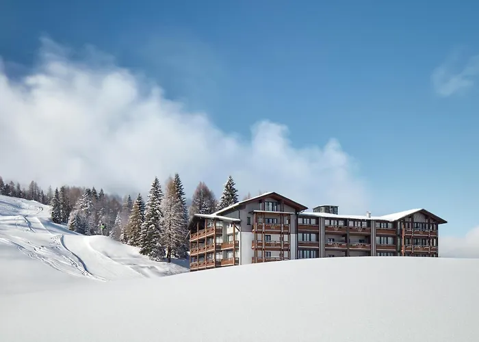 Wulfenia 4s - Adults Only 4*