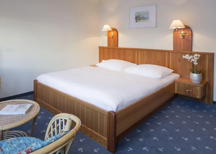 Wulfenia 4s - Adults Only 4*