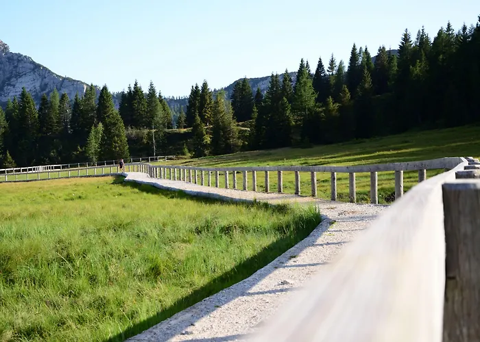 Wulfenia 4s - Adults Only 4*